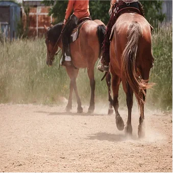 White As Paper Clinic Bulgaria